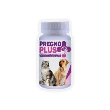 Mega Pregno plus Supplement 200g